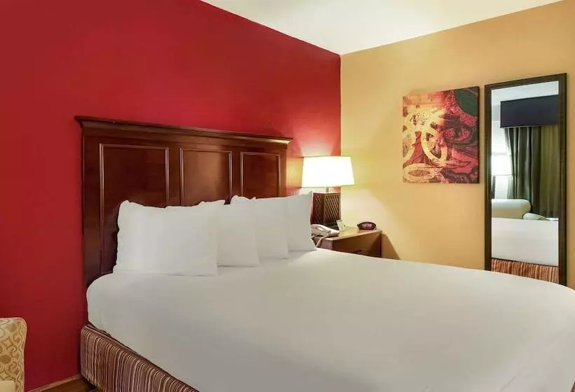 酒店 Quality Inn & Suites