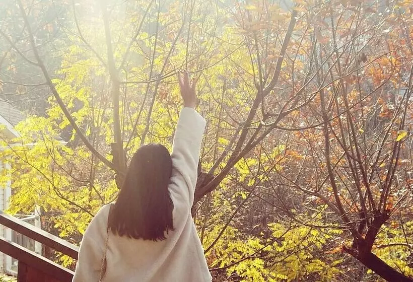 هتل Innature.hanyang