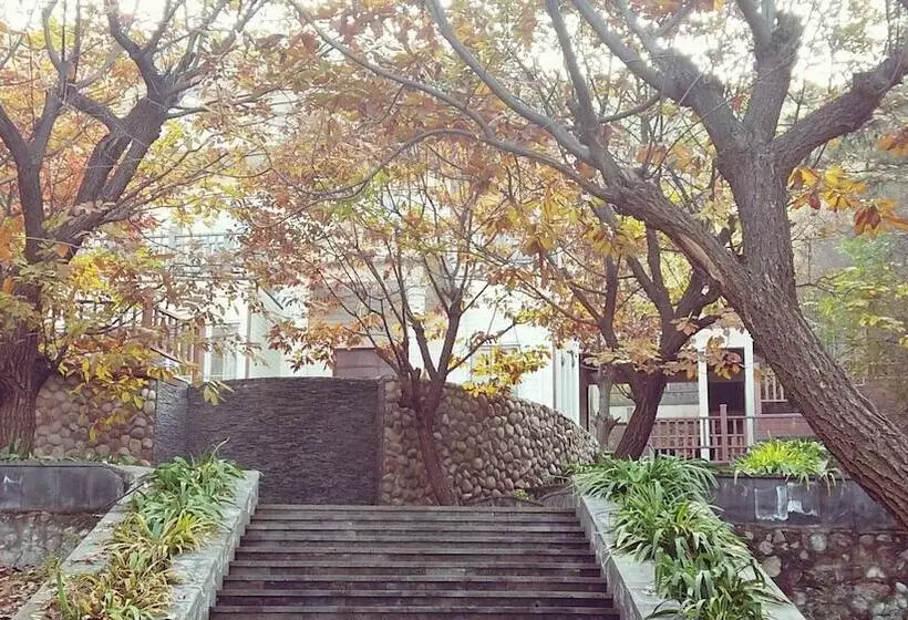 هتل Innature.hanyang