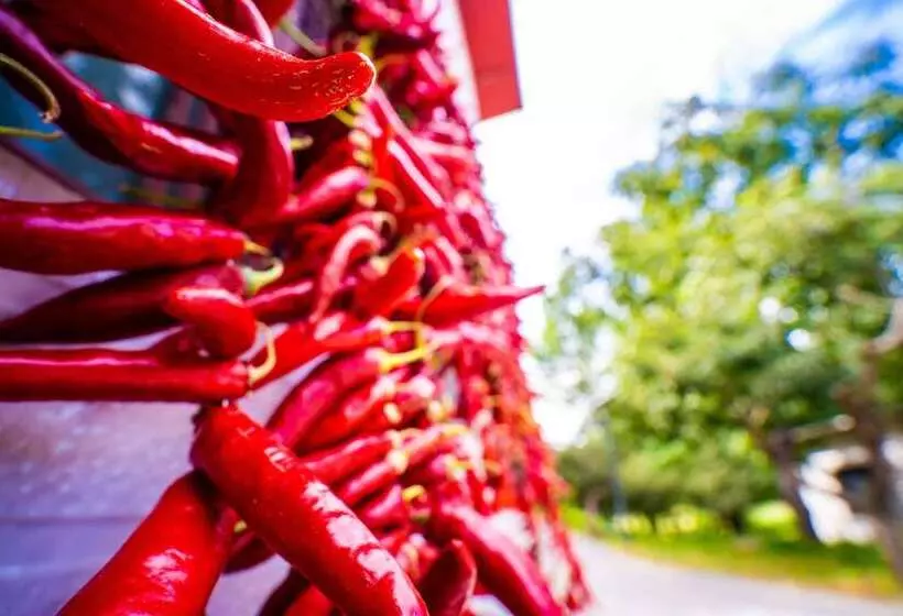 هتل Innature.hanyang