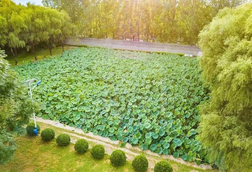 هتل Innature.hanyang