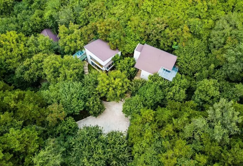 هتل Innature.hanyang