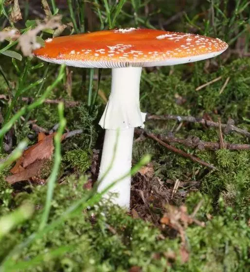 Residence Vis à Vis