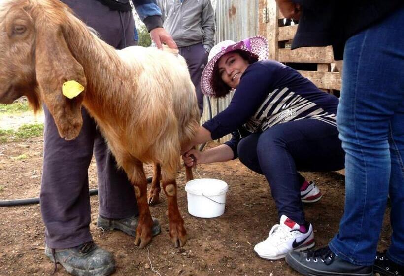 استراحتگاه Elausa Hotel & Restaurant