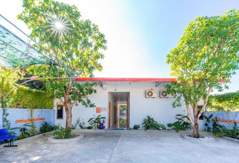 تختخواب و صبحانه Oyo 745 Minh Duc Guest House