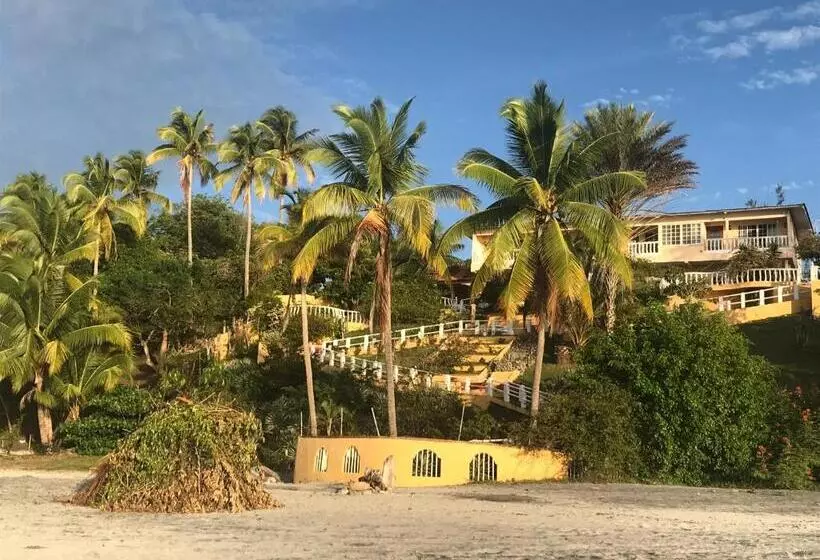 ユースホステル Cafegourmetptacorona