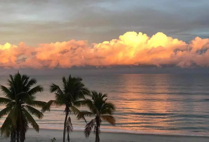 ユースホステル Cafegourmetptacorona