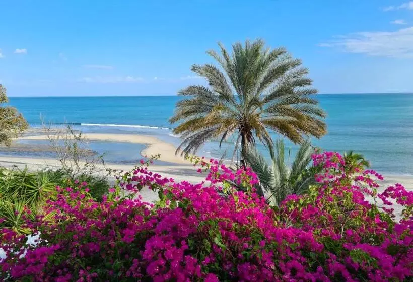 ユースホステル Cafegourmetptacorona