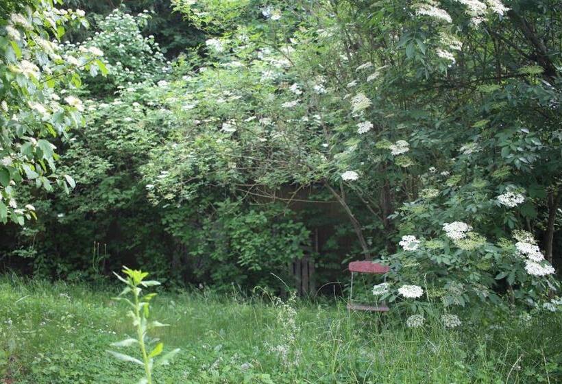 Пансион Zu Hause 1949