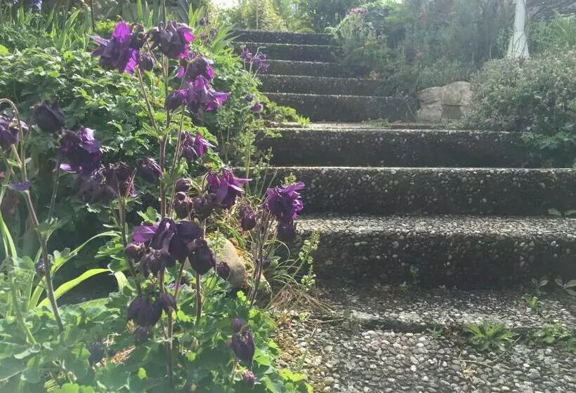 Majatalo Zu Hause 1949