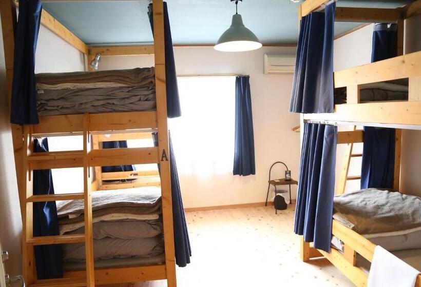 הוסטל Perch Guest House