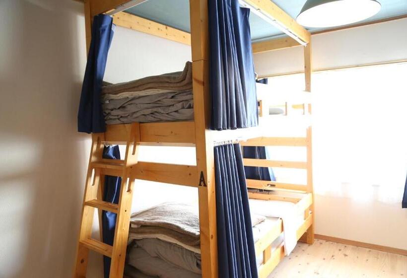 הוסטל Perch Guest House