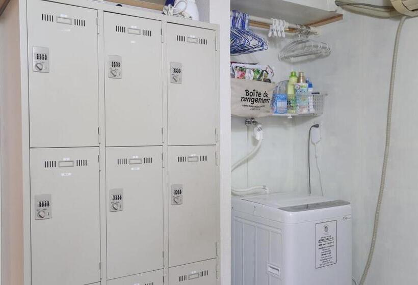 הוסטל Perch Guest House