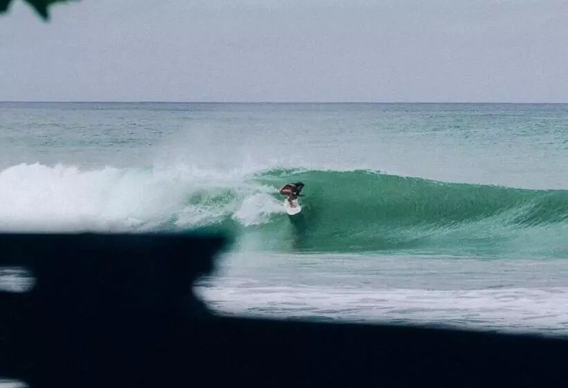 تختخواب و صبحانه Mola Mola Surf Popoyo