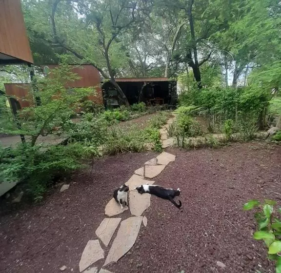 تختخواب و صبحانه Mola Mola Surf Popoyo