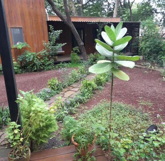 تختخواب و صبحانه Mola Mola Surf Popoyo