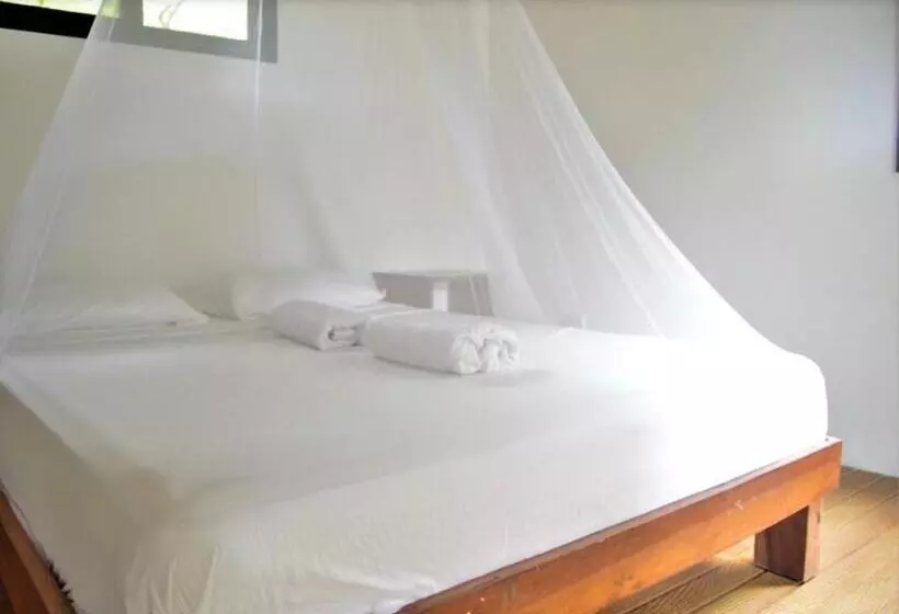 تختخواب و صبحانه Mola Mola Surf Popoyo