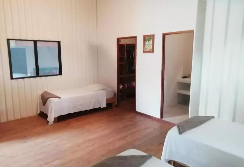 تختخواب و صبحانه Mola Mola Surf Popoyo