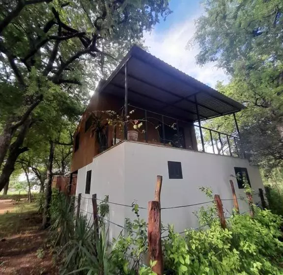 تختخواب و صبحانه Mola Mola Surf Popoyo