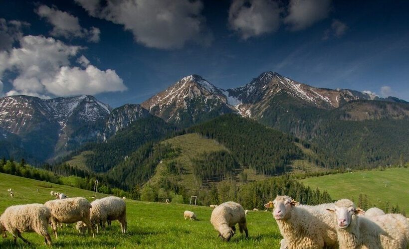 膳宿费 Restart House