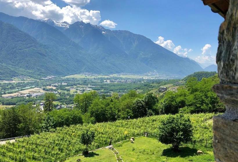 住宿加早餐 Agriturismo Cavria