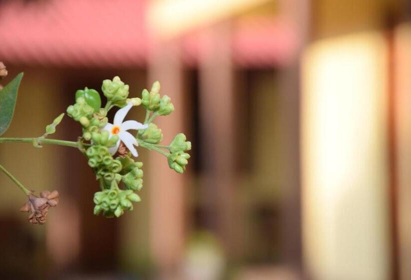 ベッドアンドブレックファースト Gold Inn