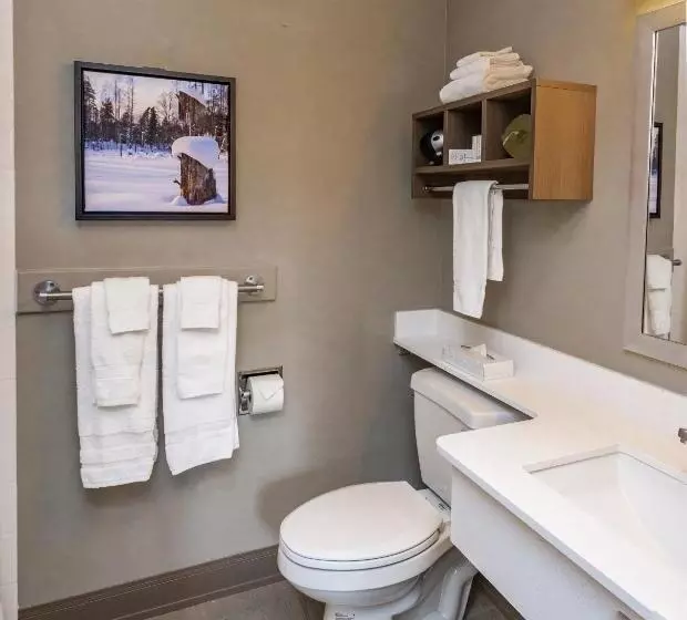 Bridgewater Hotel, Trademark Collection By Wyndham