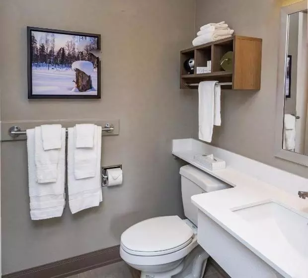 Bridgewater Hotel, Trademark Collection By Wyndham