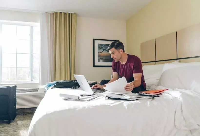 酒店 Candlewood Suites Alexandria West, An Ihg