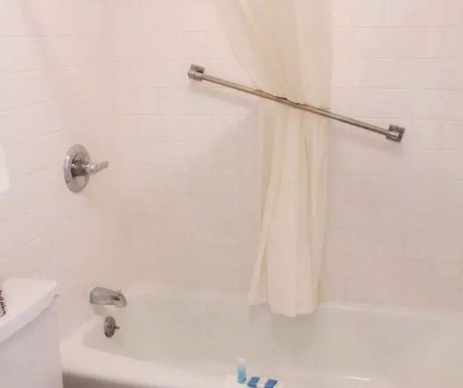 فندق Chaparral Motor Inn