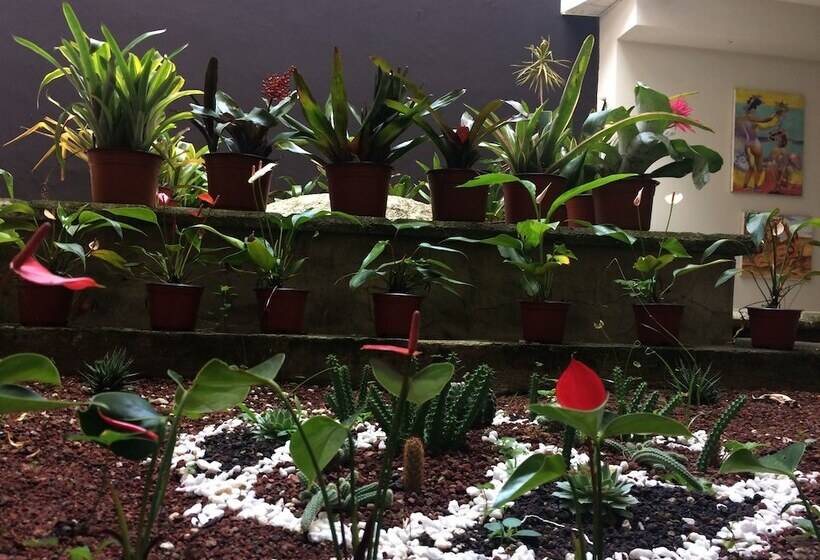 فندق Terracota Suites