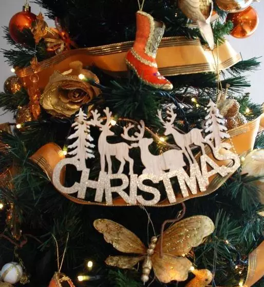 ペンション Homelyfeeling