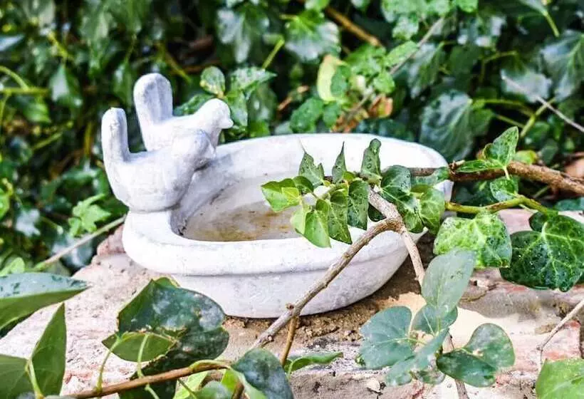 Hotelli Luz Almonaster