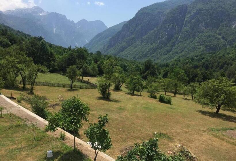 פנסיון Guest House Rrashkadoli