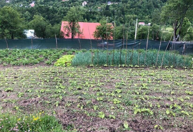 פנסיון Guest House Rrashkadoli