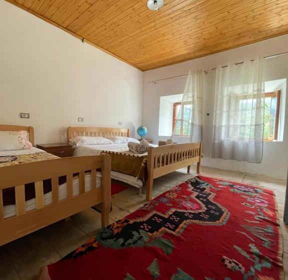 פנסיון Guest House Rrashkadoli