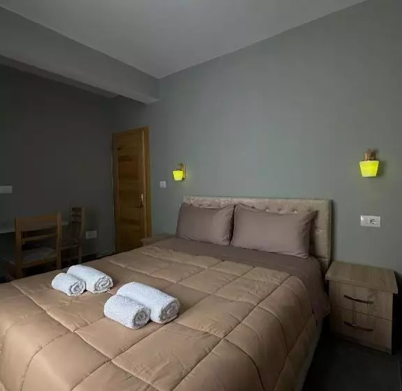 پانسیون Bujtina Ziçi