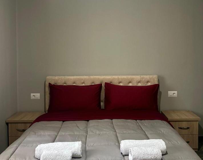 پانسیون Bujtina Ziçi