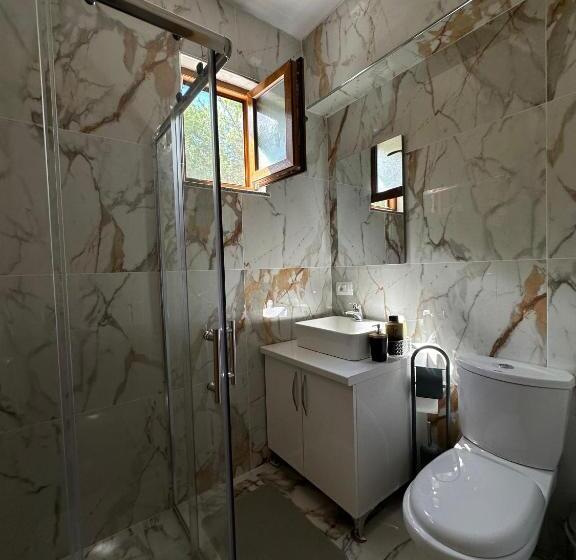 پانسیون Bujtina Ziçi