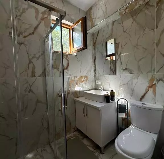 پانسیون Bujtina Ziçi