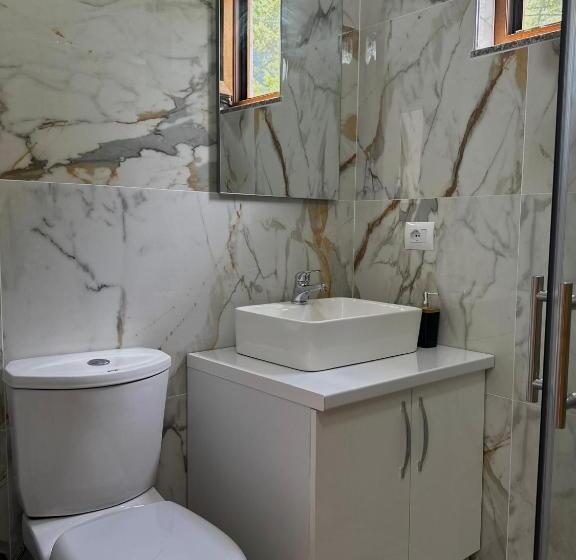 پانسیون Bujtina Ziçi