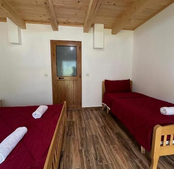 پانسیون Bujtina Ziçi