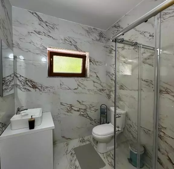 پانسیون Bujtina Ziçi