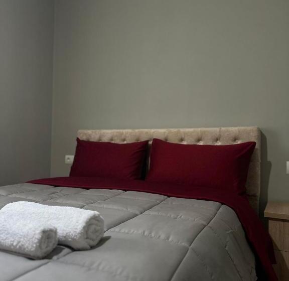 پانسیون Bujtina Ziçi