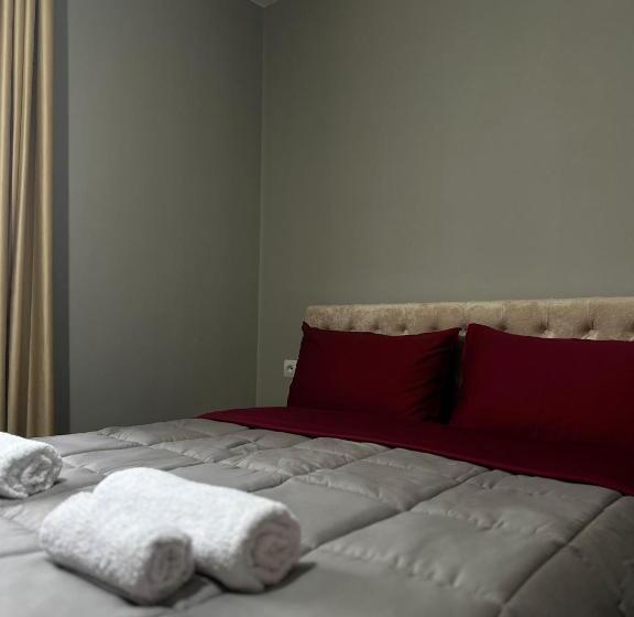 پانسیون Bujtina Ziçi