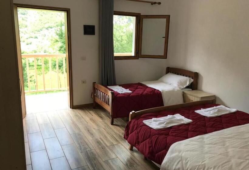 پانسیون Bujtina Ziçi