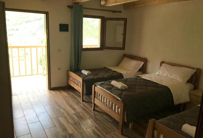 پانسیون Bujtina Ziçi