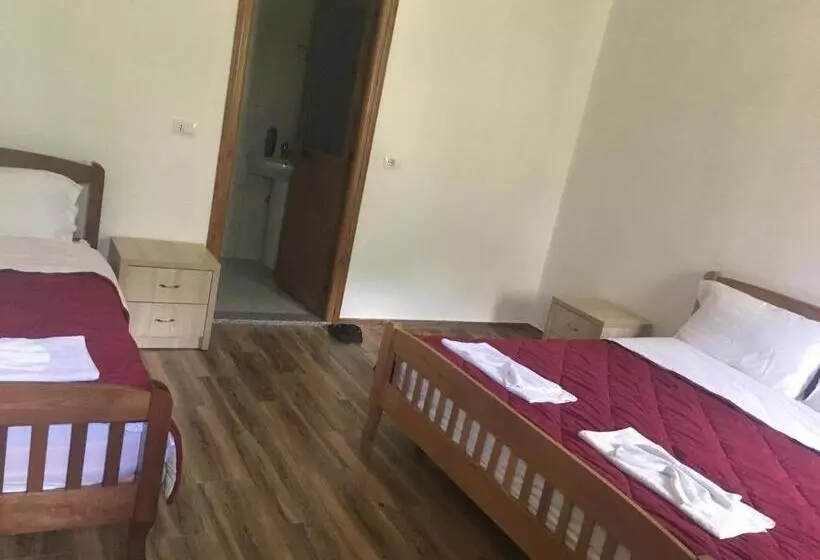 پانسیون Bujtina Ziçi