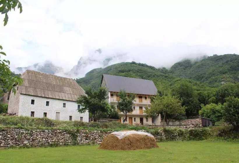 پانسیون Bujtina Ziçi