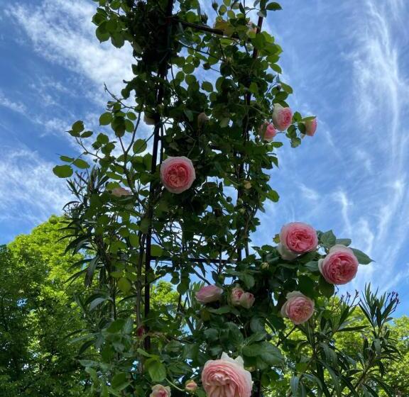 B&b Castello Machiavelli